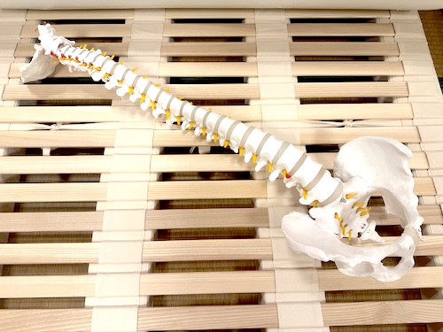 側湾症のお客様が体感して驚いた「ラテックスマット×ウッドスプリング」